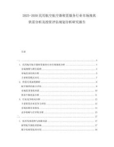 2025-2030民用航空航空器租賃服務(wù)行業(yè)市場現(xiàn)狀供需分析及投資評估規(guī)劃分析研究報(bào)告