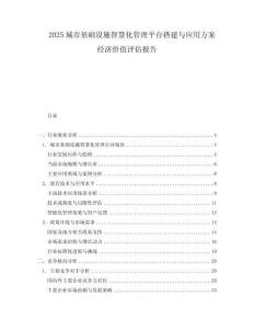 2025城市基礎(chǔ)設(shè)施智慧化管理平臺搭建與應(yīng)用方案經(jīng)濟價值評估報告