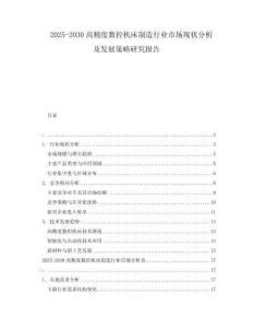 2025-2030高精度数控机床制造行业市场现状分析及发展策略研究报告