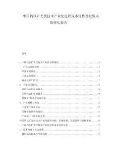 中國鈣鈦礦光伏技術(shù)產(chǎn)業(yè)化進(jìn)程成本優(yōu)勢及投資風(fēng)險(xiǎn)評估報(bào)告