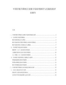 中國浮船升降機行業(yè)數(shù)字化轉(zhuǎn)型路徑與實施效果評估報告
