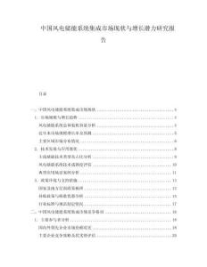 中國(guó)風(fēng)電儲(chǔ)能系統(tǒng)集成市場(chǎng)現(xiàn)狀與增長(zhǎng)潛力研究報(bào)告
