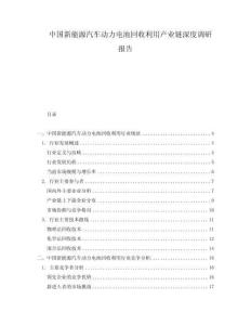 中國(guó)新能源汽車動(dòng)力電池回收利用產(chǎn)業(yè)鏈深度調(diào)研報(bào)告