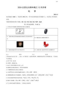 2024北京北大附中高三12月月考化學(xué)試題及答案