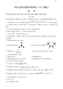 2024北京北京師大附中高三（下）統(tǒng)練二化學(xué)試題及答案