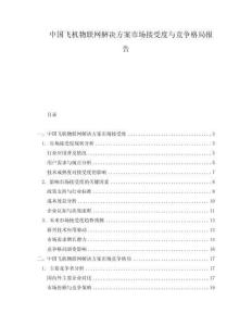 中國飛機(jī)物聯(lián)網(wǎng)解決方案市場(chǎng)接受度與競(jìng)爭(zhēng)格局報(bào)告