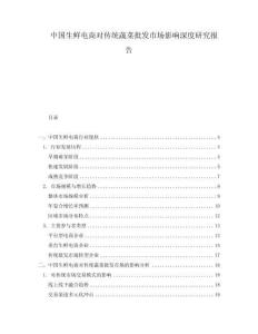 中国生鲜电商对传统蔬菜批发市场影响深度研究报告