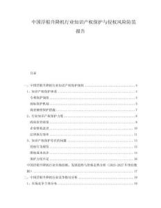 中國浮船升降機(jī)行業(yè)知識產(chǎn)權(quán)保護(hù)與侵權(quán)風(fēng)險防范報告