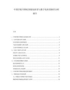 中國浮船升降機智能化轉型與數字化轉型路徑分析報告