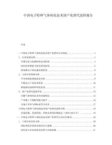 中國電子特種氣體純化技術(shù)國產(chǎn)化替代進(jìn)程報告