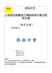 工業(yè)區(qū)邊坡整治工程方案投標(biāo)文件（技術(shù)標(biāo)）