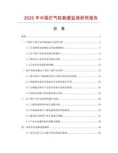2025年中國打氣輪數據監測研究報告