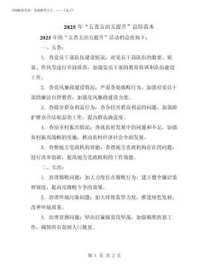 2025年“五查五治五提升”總結范本