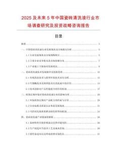2025及未來5年中國(guó)瓷磚清洗液行業(yè)市場(chǎng)調(diào)查研究及投資戰(zhàn)略咨詢報(bào)告