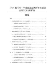 2025及未来5年高效多金属防锈剂项目投资价值分析报告