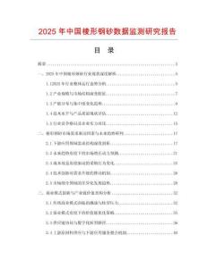 2025年中国棱形钢砂数据监测研究报告