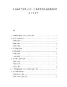 中國醋酸乙烯酯（VAM）行業政策環境及新建項目風險評估報告