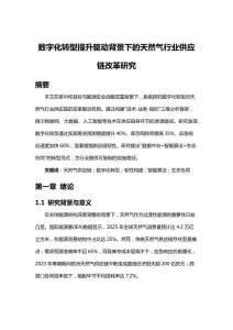 數(shù)字化轉(zhuǎn)型提升驅(qū)動(dòng)背景下的天然氣行業(yè)供應(yīng)鏈改革研究