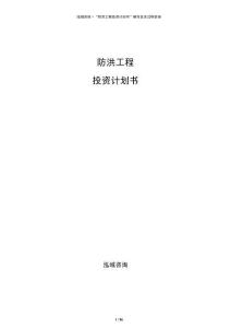 防洪工程投资计划书