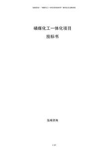 磷煤化工一體化項目投標書