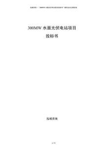 300MW水面光伏電站項目投標書