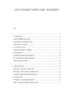 2025中国光刻胶产品梯队与晶圆厂验证情况报告