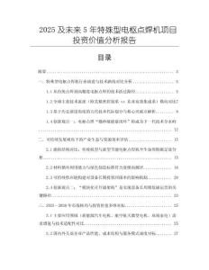 2025及未來5年特殊型電樞點焊機項目投資價值分析報告