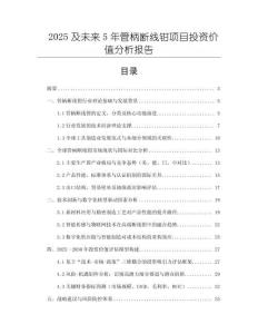 2025及未來5年管柄斷線鉗項目投資價值分析報告