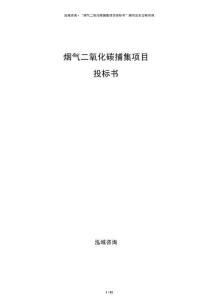 煙氣二氧化碳捕集項目投標(biāo)書