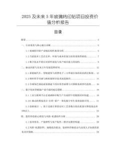 2025及未來5年玻璃轉(zhuǎn)印貼項(xiàng)目投資價(jià)值分析報(bào)告