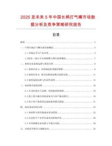 2025至未來5年中國長柄打氣嘴市場數據分析及競爭策略研究報告