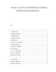 2025瑞士万灵丹片行业市场消费研究及未来规划与投资价值分析评估说明研究报告