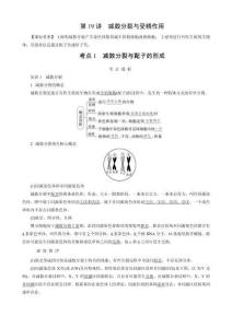 第4單元　第19講　減數(shù)分裂與受精作用