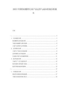 2025中國鋁硅酸鈣行業(yè)產(chǎn)品定價與成本控制分析報告