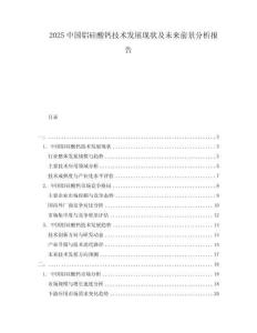 2025中國鋁硅酸鈣技術(shù)發(fā)展現(xiàn)狀及未來前景分析報告