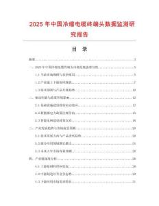 2025年中国冷缩电缆终端头数据监测研究报告