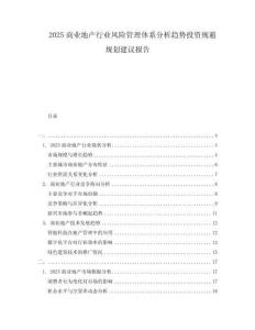 2025商業(yè)地產(chǎn)行業(yè)風(fēng)險管理體系分析趨勢投資規(guī)避規(guī)劃建議報(bào)告