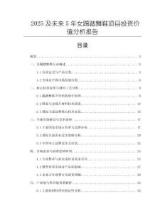 2025及未來(lái)5年女踢踏舞鞋項(xiàng)目投資價(jià)值分析報(bào)告