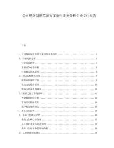 公司规章制度范范方案操作业务分析企业文化报告