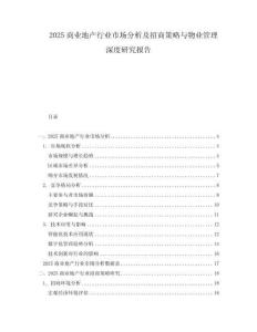 2025商業(yè)地產(chǎn)行業(yè)市場(chǎng)分析及招商策略與物業(yè)管理深度研究報(bào)告