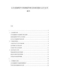 公共设施维护市场细腻考察及基础设施与公共安全报告
