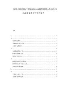 2025中國房地產(chǎn)開發(fā)商行業(yè)市場發(fā)展?jié)摿Ψ治黾笆袌龈偁幉呗匝芯恳?guī)劃報告