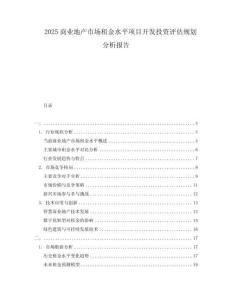 2025商業(yè)地產(chǎn)市場租金水平項目開發(fā)投資評估規(guī)劃分析報告