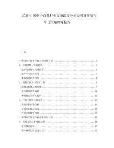 2025中国电子商务行业市场深度分析及投资前景与平台策略研究报告