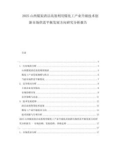 2025山西煤炭清潔高效利用煤化工產(chǎn)業(yè)升級(jí)技術(shù)創(chuàng)新市場(chǎng)供需平衡發(fā)展方向研究分析報(bào)告