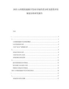 2025山西煤炭能源開(kāi)發(fā)業(yè)市場(chǎng)供需分析及投資評(píng)估規(guī)劃分析研究報(bào)告