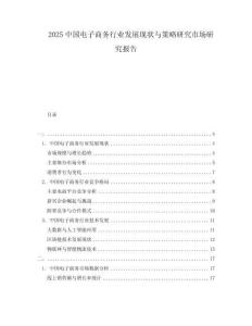 2025中国电子商务行业发展现状与策略研究市场研究报告