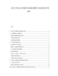 2025中國(guó)云計(jì)算服務(wù)市場(chǎng)深度解析與商業(yè)機(jī)會(huì)評(píng)估報(bào)告