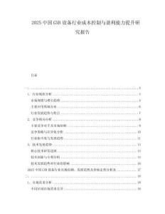 2025中國GXR設備行業(yè)成本控制與盈利能力提升研究報告