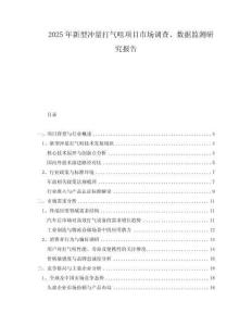 2025年新型沖量打氣咀項目市場調查、數據監測研究報告